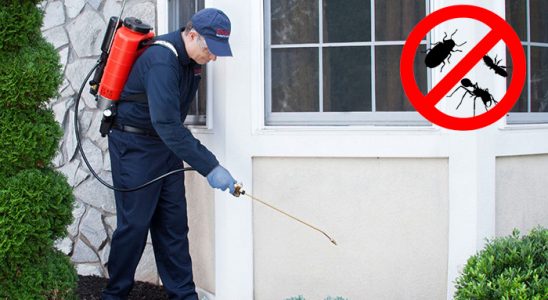 Uzunköprü Karınca İlaçlama böcek ilaçlama ve haşere kontrolü — ilaclama-tr.com